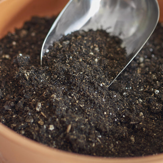 Indoor Plant Potting Soil - Puck: Soil That Swells for Effortless Repotting