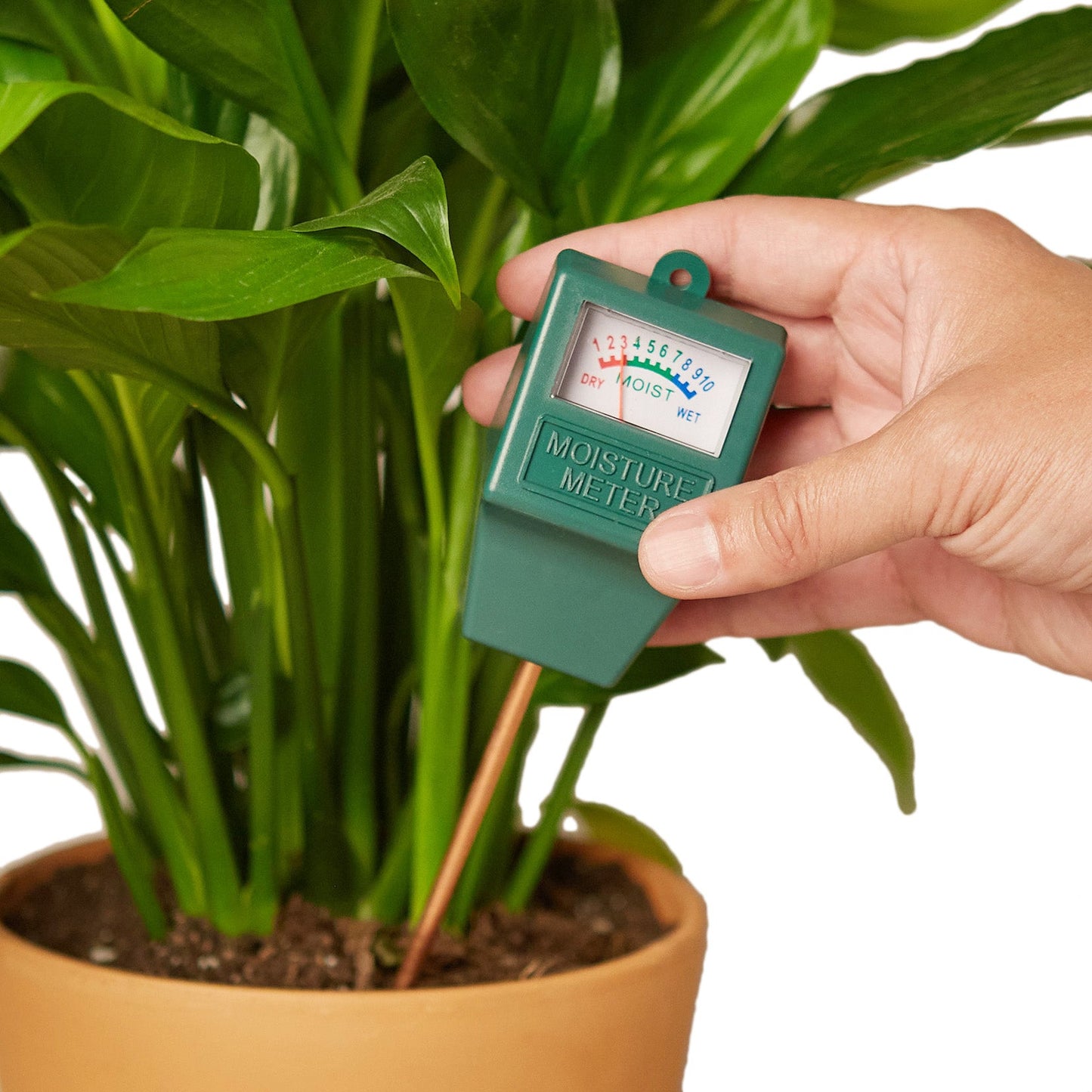 Moisture Meter - Thirsty Meter: Accurate Soil Moisture Tester with Stainless Steel Probe