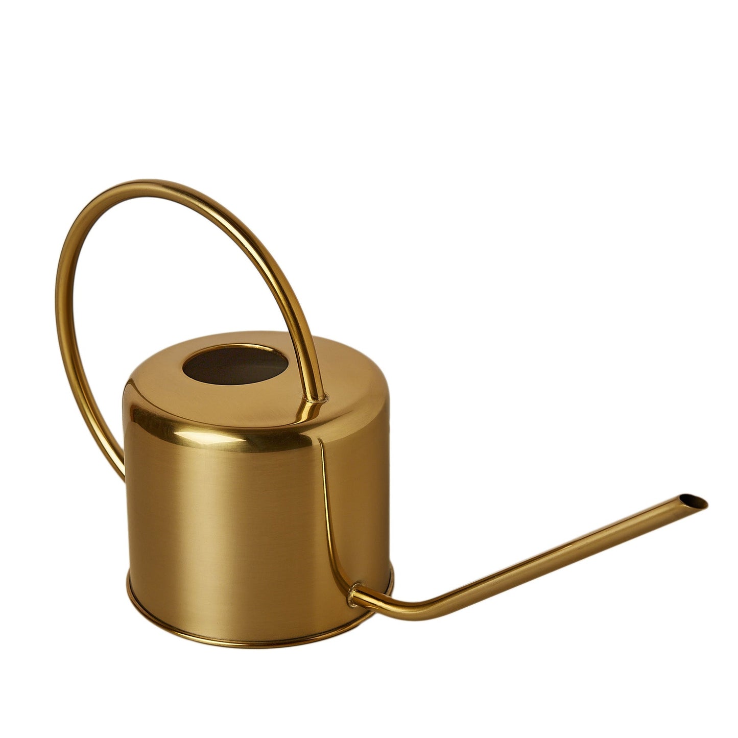 Brass Watering Can - Liquid Gold: Elegant Long-Spout Design for Precise Watering, 1800ml Capacity