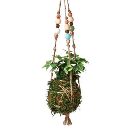 Bead Kokedama Moss Ball Hanging Plant - Mossy Marvel: Elegant Japanese Inspired Plant