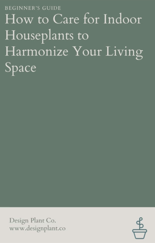 FREE: Beginner's Guide: How to Care for Indoor Houseplants to Harmonize Your Living Space